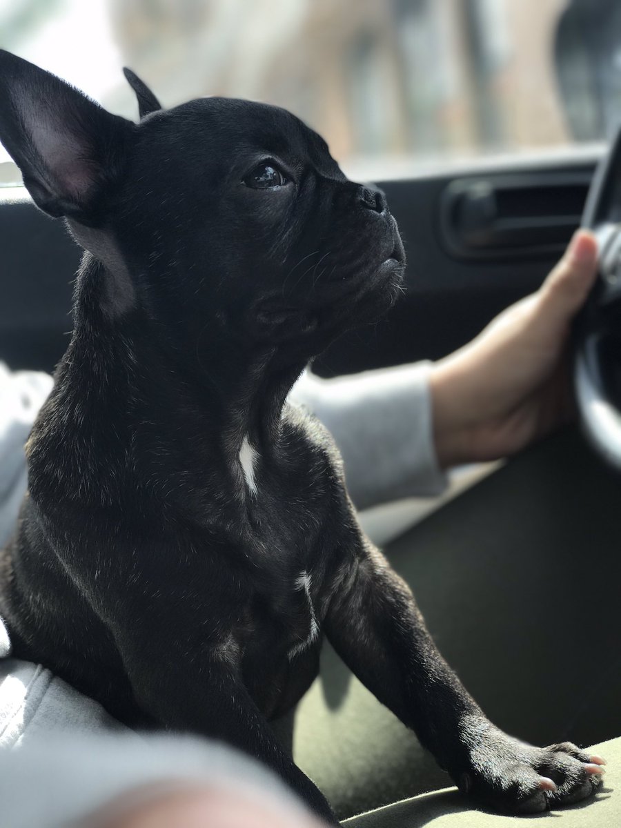 IamKrisLondon's tweet photo. My son is such a stud! 😩 https://t.co/Y7mhaQ8ZlZ