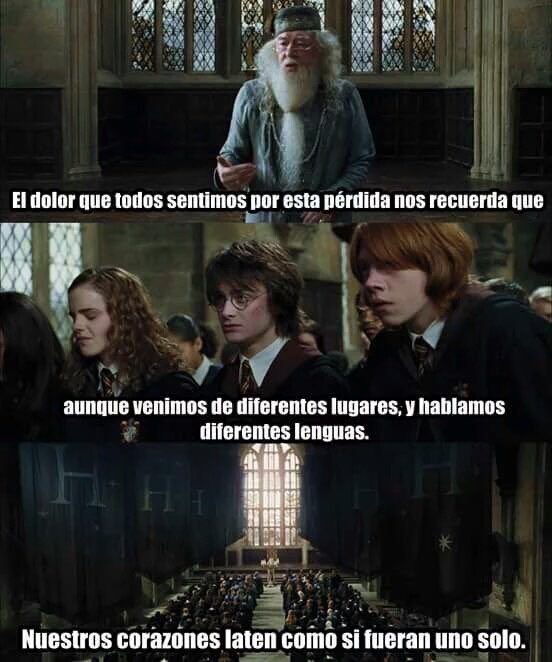 Siempre voy a amar esta frase <3
