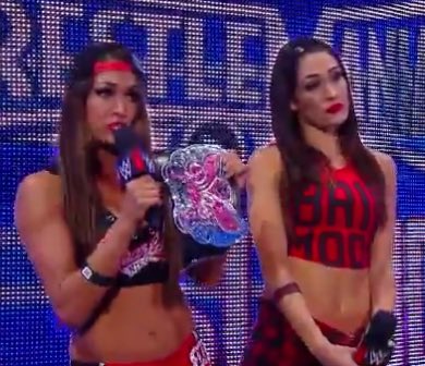 bellatwins2017's tweet photo. @Banks_edits can you make me a picture of the Bella twins here are the picture it's not a profile picture or a header it's just a picture https://t.co/CxvzxvmQqM