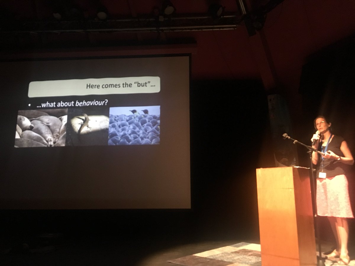DrJDonel's tweet photo. What about reef fish thermal behaviour can they behaviourally thermoregulate? #ipfc10 #ipfc2017 @DrRebeccafox @UTS_Science https://t.co/72PDtAmQfl