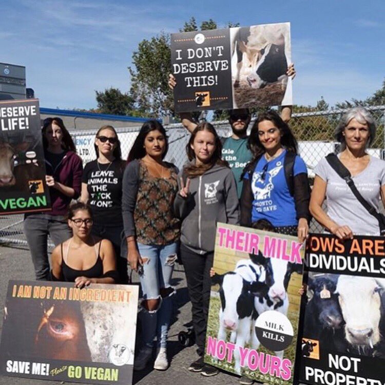 animalsavemvmt's tweet photo. On October 2nd, over 25 save groups around the world held vigils and took part in the #fastagainstslaughter for #WDFA 💙

@FARMUSA 

#vegan https://t.co/9E5nQFEjYm