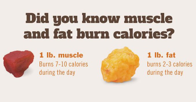 AHealthBlog's tweet photo. Get the right amount of #sleep to help reduce stubborn belly fat ➡ https://t.co/XCiAVU8z9h https://t.co/dESIj8TAvc