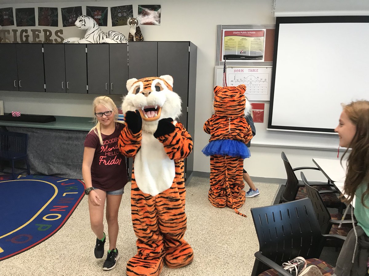 RavenwoodTiger's tweet photo. Mascot &amp; Mascot Security Training at Ravenwood! PAWS and POPPY the Tigers always spread Tiger Love! 🐯💙#mascottraining #itsgreattobeatiger https://t.co/9fuWiziHWX