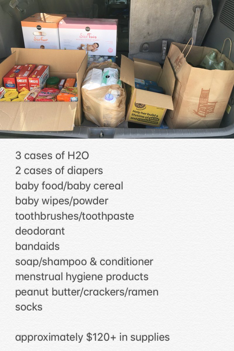 heavenlycreatre's tweet photo. thanks @KonekoSama89 & @StarMinion for pitching in $$$
I was able to donate $120+ in supplies for Puerto Rico #RandomActivate πππ https://t.co/uSw155txKH