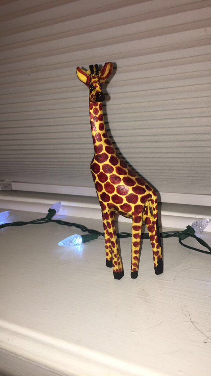 kenziethom's tweet photo. Happy Birthday Cole, thanks for always being such a great friend. I hope you had the best day. Thanks for the giraffe from africa :-) 🎁🎈🎉 https://t.co/RegYwIrAx5