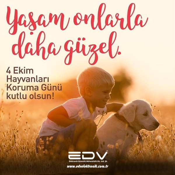 #4EkimHayvanlarıKorumaGünü kutlu olsun!