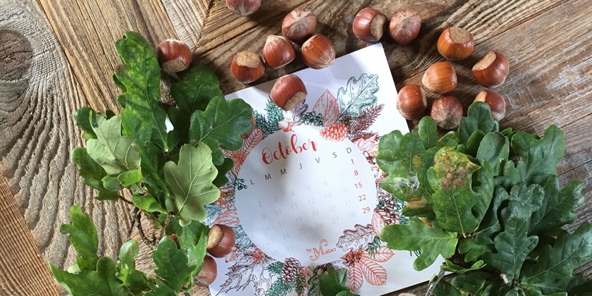 byMatao's tweet photo. Notre joli calendrier du mois d'octobre est à retrouver sur notre blog pour l'imprimer! ;) #automne #byMatao #cadeau #printable https://t.co/nQwMSeJpWd