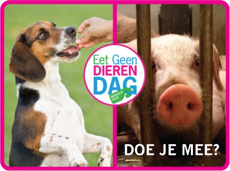 KellyJanineB's tweet photo. Ik doe mee aan #eetgeendierendag!! Jij ook?🤗 https://t.co/En42b007Ut