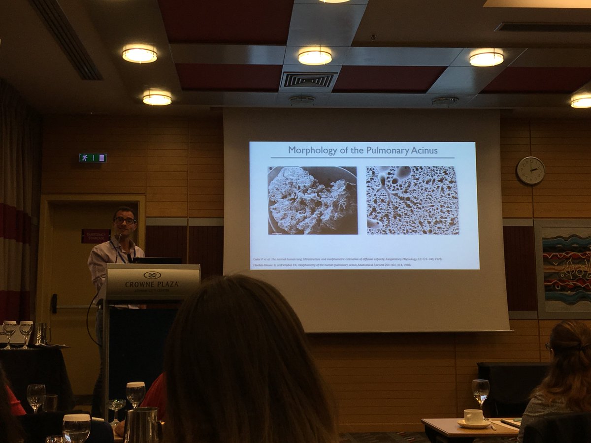 southcoastjoy's tweet photo. The fab Josue Sznitman reminding us all about alveolar structure #SimInhale COST #Athens https://t.co/ctdUC3CnUs