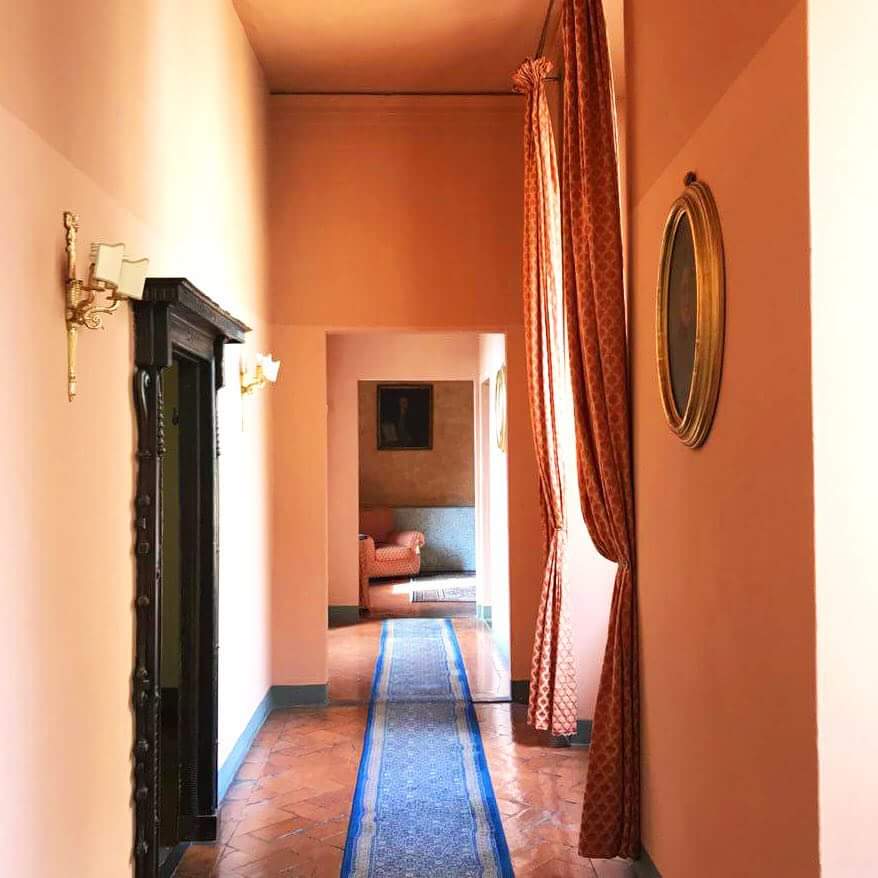 talaalamuddin's tweet photo. Peach perfect, Italian edition! ๐๐ช#hallwaytoheaven #TOTALLYserene #peachchairdownthere #burrstofblue #TALAtravels #Italy #talasnaps #Firenzefrenzy #productiontime #colourcrazy #TOTALLYcharming #TALA #TotallyTALA #getinspired #riserockrepeat https://t.co/esXMaW2Lbz