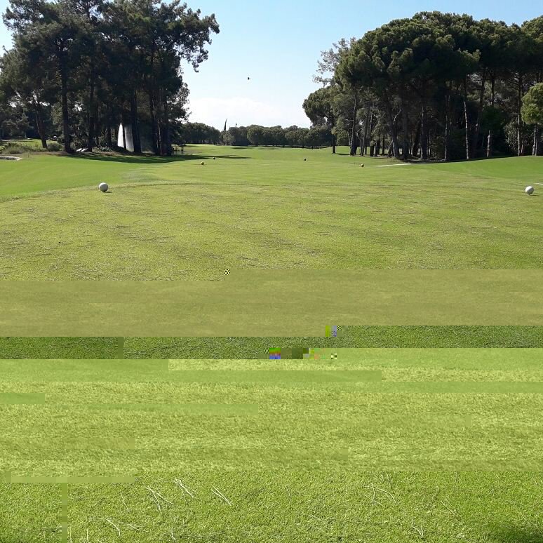 NGClubTR's tweet photo. Holes 19 - 27 open after overseeding. Holes 1 - 9 now closed.
#NGC #overseeding #lushgrass https://t.co/q3LUQvm1jp