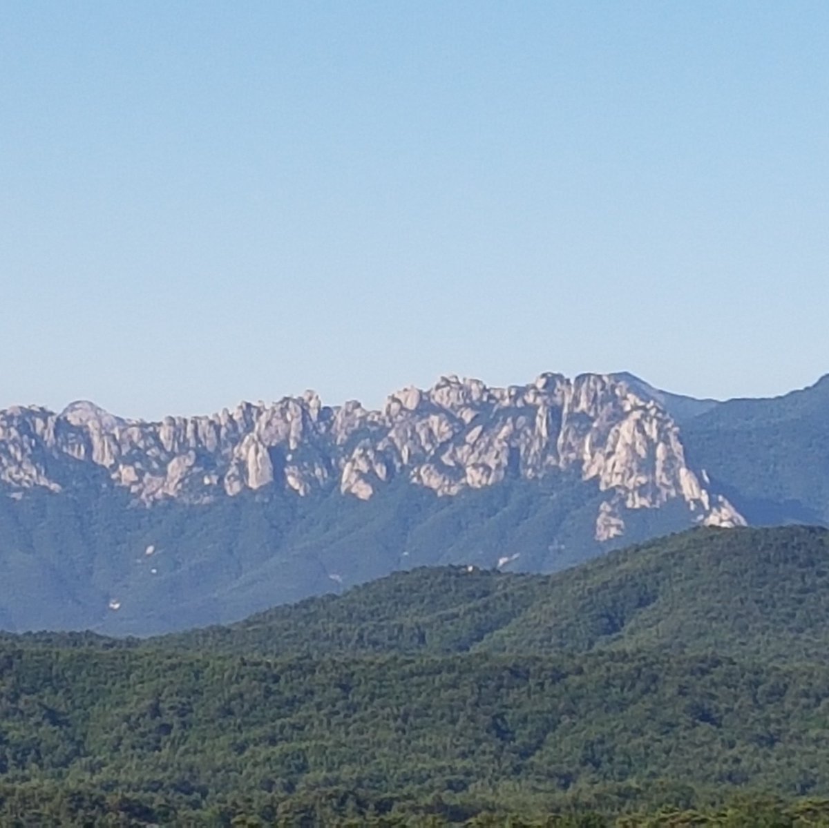 jct941120's tweet image. #NewProfilePic