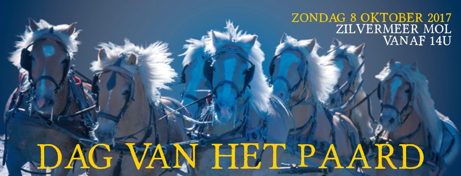 ZilvermeerMol's tweet photo. Dit weekend feestweekend Lions Mol-Geel met op 7/10 #Mosselfestijn en op 8/10 #DagvanhetPaard op het Zilvermeer ๐ด๐ https://t.co/MDXEcwkEUf