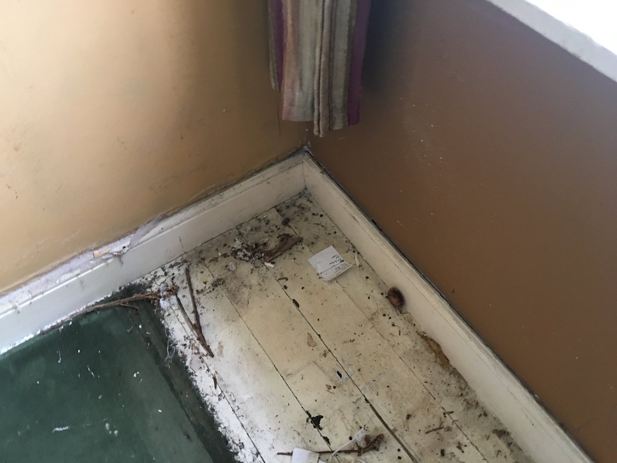 RosecleaningLtd's tweet photo. Cleaning in progress at an Old Georgian house.... sharing some pics before the clean... results will follow.. https://t.co/FsSgyVkMxr