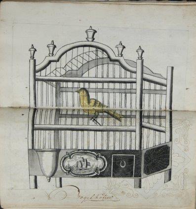 Canaries, leeuwericken, papegayen in een kouw #boedelinventaris #17eE #woensdag #transcribathondag #dierendag