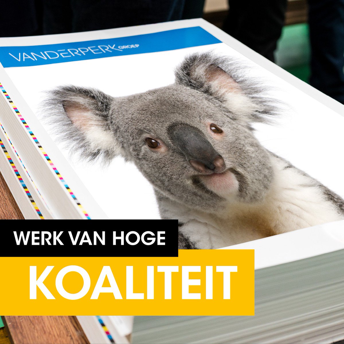 We streven altijd naar de beste koaliteit. 
Fijne werelddierendag! 🐨
#dierendag #4oktober #koala #flauw