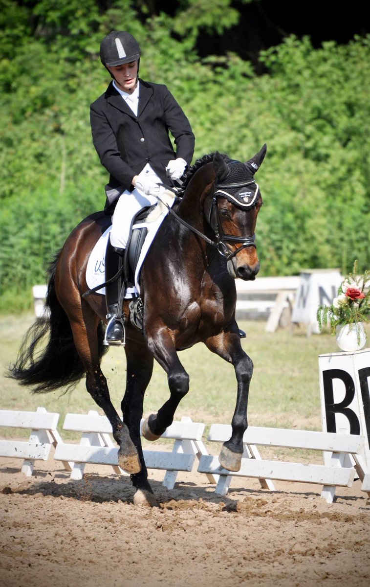 Horsesales.lt (horsesales_lt) Twitter