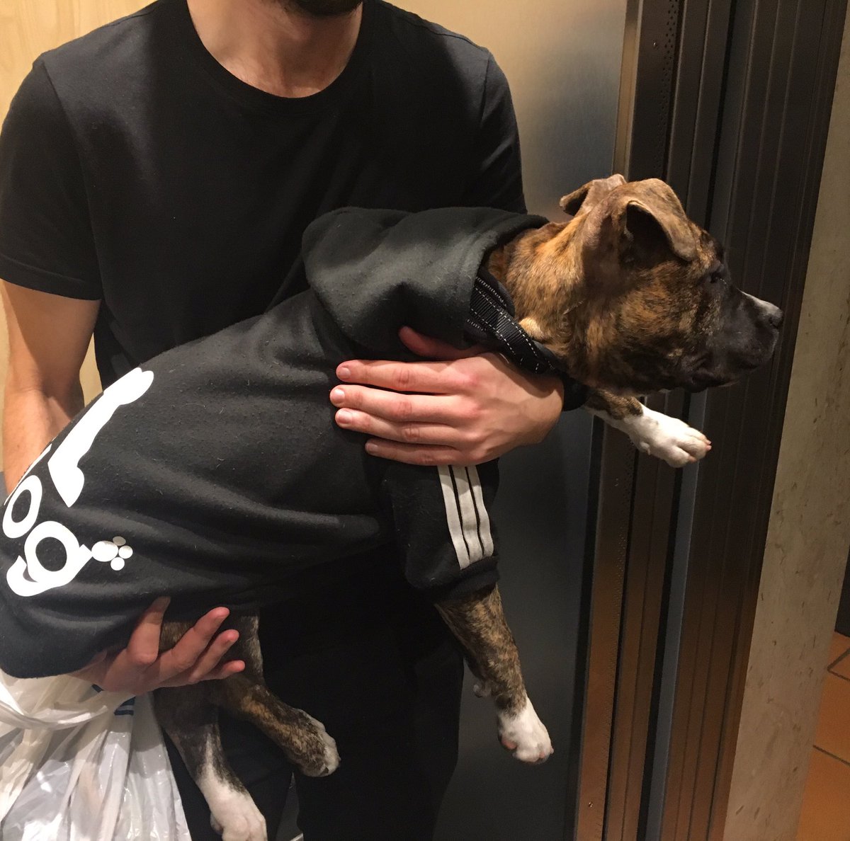 Move to Stockholm tweet media