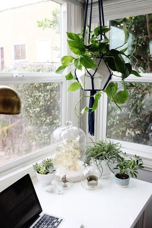 mareaah_h's tweet photo. U shd hv a pleasant view while seated at your desk. Ur #deskview if facing #emptywall feels u bump  against obstacles &amp; lack opportunities. https://t.co/5Ir8phyZia
