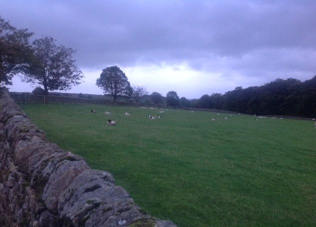 kcrewders's tweet photo. It's #WednesdayAlbum time @BBCYork @jmb199999 kicked us off with the sheep and ducks in the Dales! https://t.co/EBLrhwSkI7