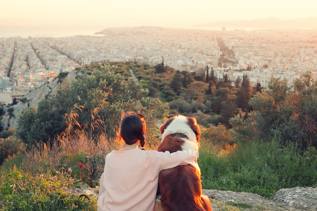 VisitGreecegr's tweet photo. Happy World Animal Day!
Animals share with us the privilege of having a soul.  - Pythagoras
#Greece #VisitGreece #Travel #ttot #AnimalDay https://t.co/9xgtS5q1YB