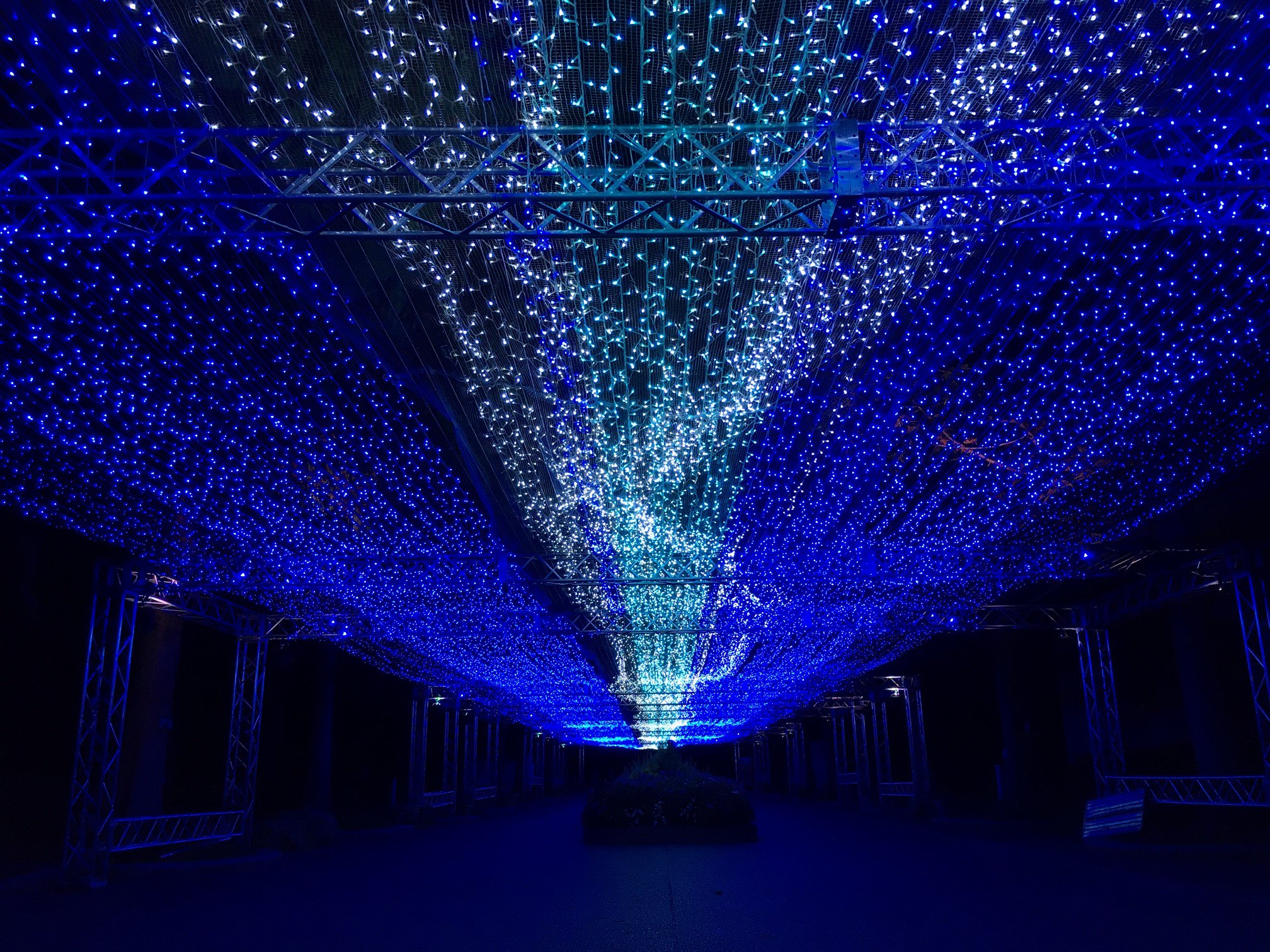 長居植物園 10月6日 金 9日 月 秋のナイトガーデン17蒼の廻廊 でお披露目する全長100mの 天の川 イルミネーションが完成しました 頭上に輝く煌びやかな 天の川 をお見逃しなく T Co M4ahsnfo7h 長居植物園 ナイトガーデン 長居植物園 10月6日 金 9日 月 秋のナイトガーデン17蒼の廻廊 でお披露目する全長100mの 天の川 イルミネーションが完成しました 頭上に輝く煌びやかな 天の川 をお見逃しなく T Co M4ahsnfo7h 長居植物園 ナイトガーデン