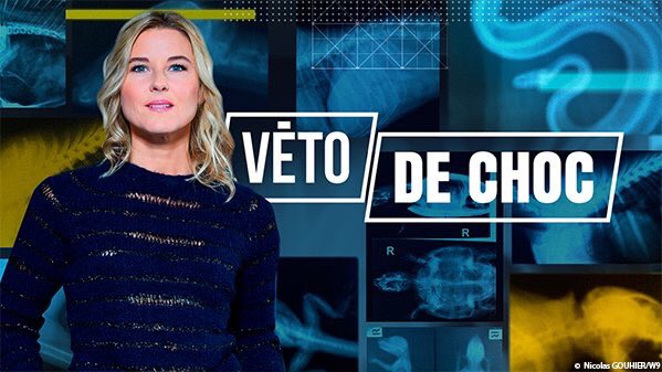 #W9 #Vetodechoc Audience en forte hausse, meilleure soirée depuis son lancement !!!💪💥🐴 bravo <a href="/StefRenouvin/">Stéphanie Renouvin</a> CC <a href="/m6publicite/">M6 Publicité</a> <a href="/pgledan/">pierre guillaume ledan</a>