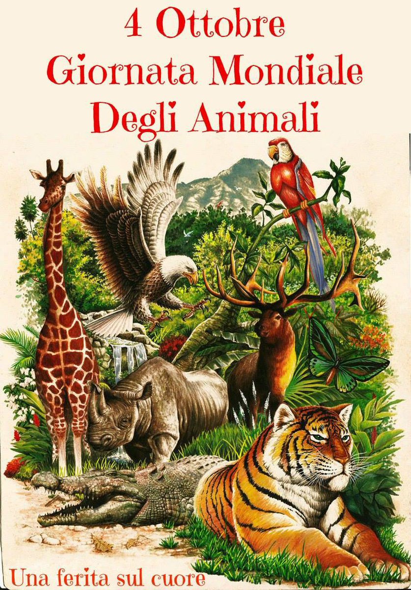 Per noi di #Atuttacoda gli #animali si festeggiano tutti i giorni! #giornatamondialedeglianimali #iostoconglianimali