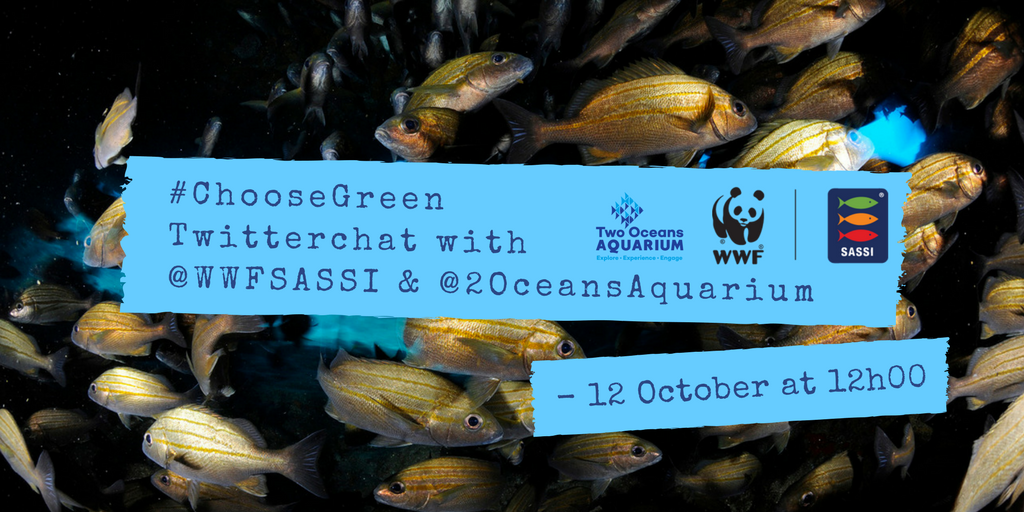 WWFSASSI's tweet photo. Save the date! Our Marine Week twitter chat will be taking place on 12 October, over lunch! #GoGreen with #WWFSASSI and @2OceansAquarium. https://t.co/GZKFaoSoEd