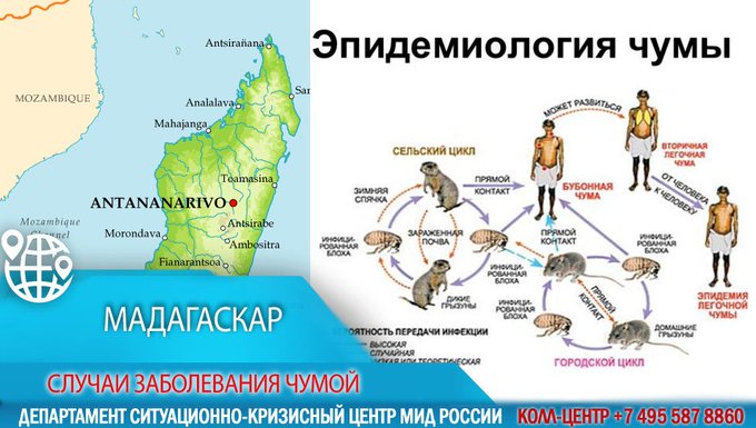 Посмотреть изображение в Твиттере
