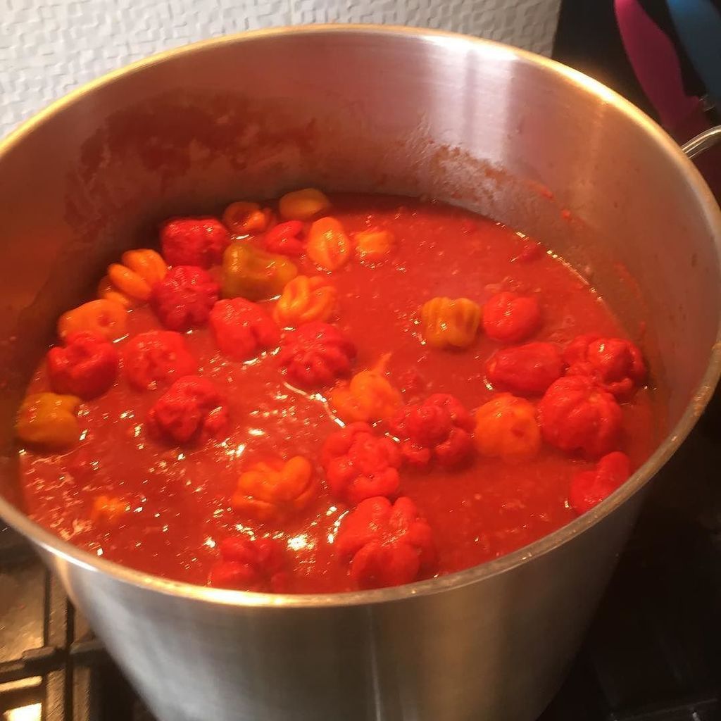 screaming_chimp's tweet photo. Cooking #screamer #sauce #food #flavour #foodporn #hotsauce #largepot #homemade #delicious #deliciousfood #reaper β¦ https://t.co/RXnvs3kuwZ https://t.co/oZxSpp2yTe