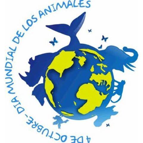 besantsl's tweet photo. Hoy es el #DíaMundialdelosAnimales ¡Cuidemos y queramos a los animales! 😍 https://t.co/YWE8zY03OH