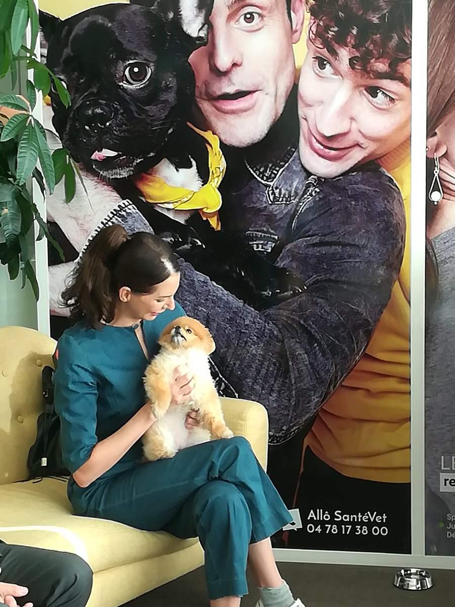 SanteVet's tweet photo. @FrederiqueBel et Joka : c'est normal d'avoir et aimer les animaux car on partage la même planète #adoption cc @SecondeChance #petlink https://t.co/vVWef6Nzkw