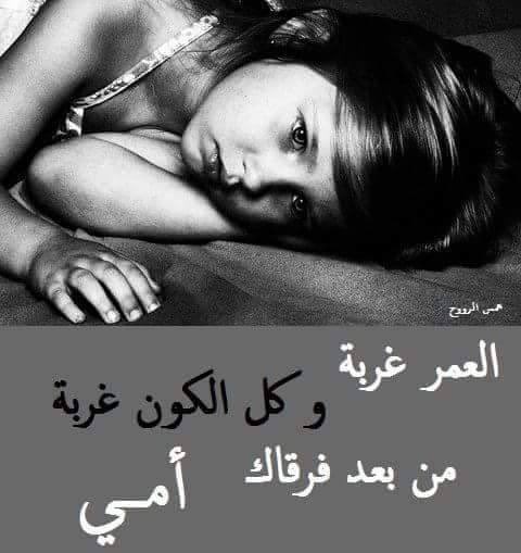 💕 نورا الشهري.💕 tweet media