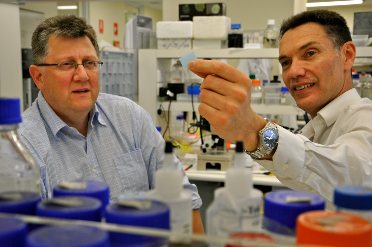 Scientists have cracked the code of endothelial cell signalling, opening potential new ways to fight cancer: petermac.org/news/cracking-…