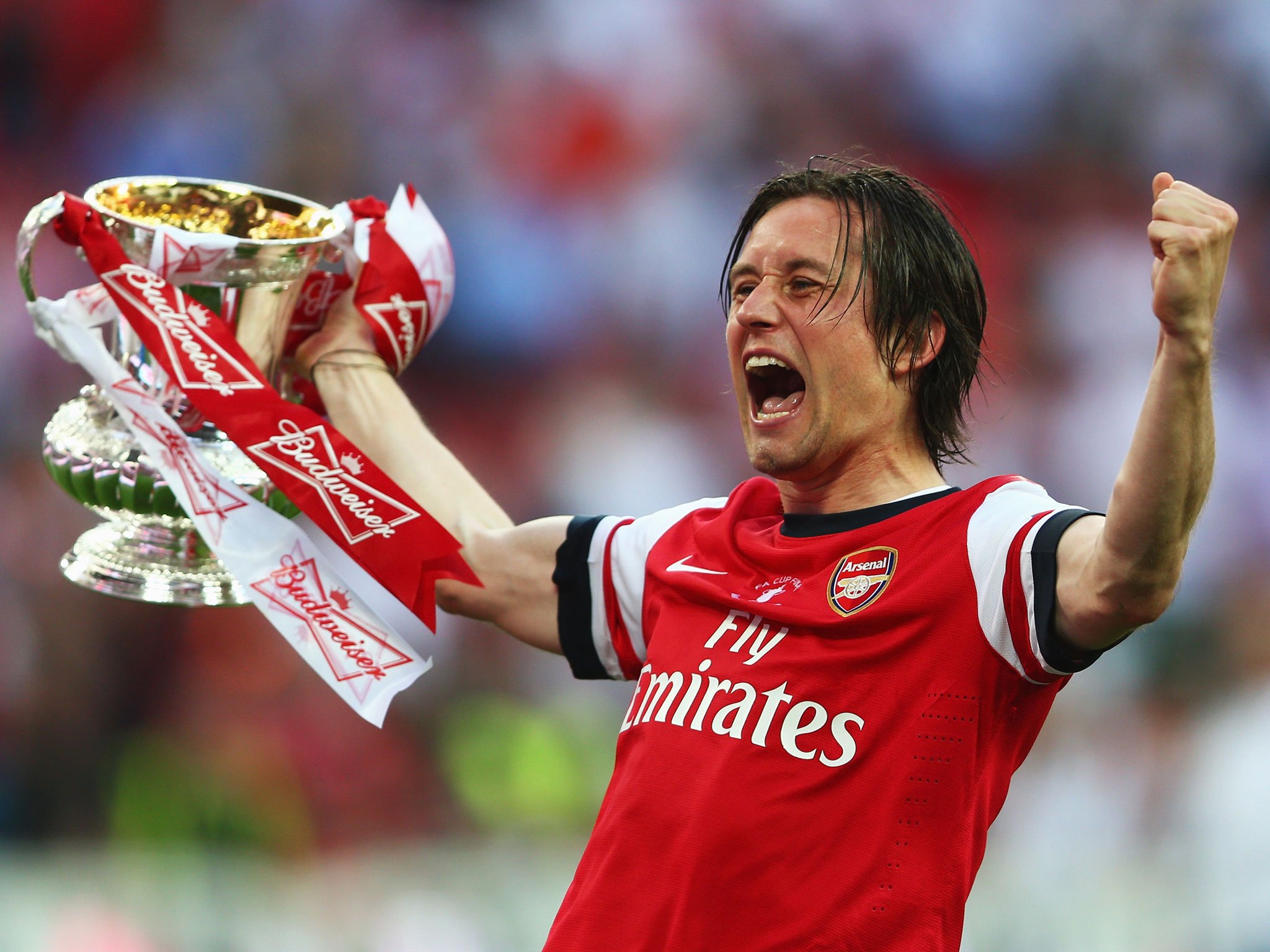 Happy birthday to Tomas Rosicky 