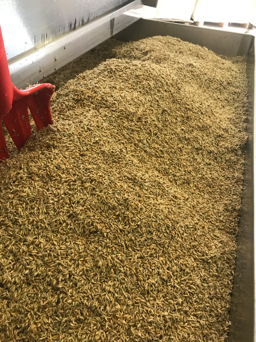Malt_Trader tweet media