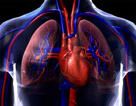 BlackstoneMed's tweet photo. Mild Sleep Apnea May Raise Heart Risk. Even sleep apnea patients who don’t feel drowsy are at risk. https://t.co/wmvLcqRWCC https://t.co/NpooCBdM4r