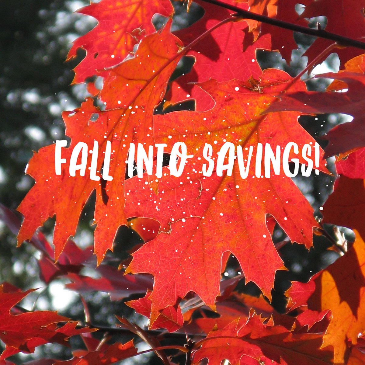 LLRVChandler's tweet photo. Don't miss your chance! 40% off Fall into Savings sale happening NOW!! https://t.co/bnVGsnoMAO https://t.co/sNNfH26WMB