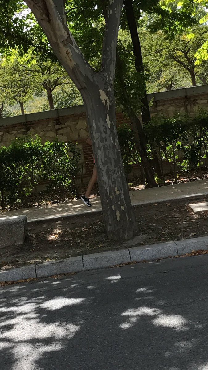 ClaraLago1's tweet image. Cuando sales a correr y le pides a tu pareja que te saque una foto...
👏🏼👏🏼👏🏼 #bravo #ovacióncerrada 😂