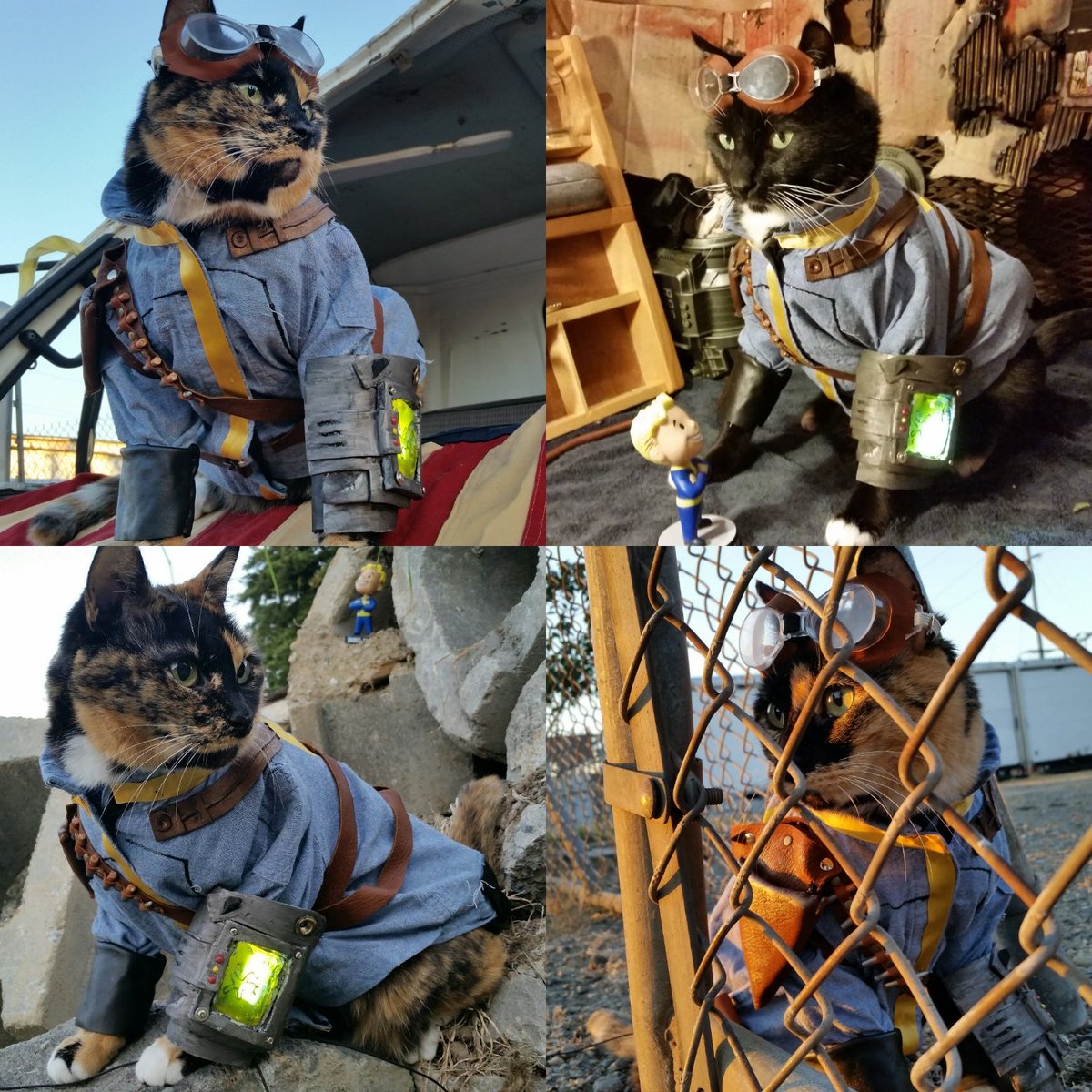 bethesda_ESP's tweet photo. Por muchos más años vagando por el yermo... #Fallout20th 

Imagen compartida por @Cat_Cosplay https://t.co/H7bK22gRYP