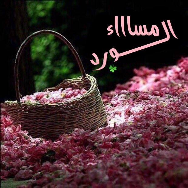 Eb9MceNyeKa9T9S's tweet photo. ﻓﻲ ﻛﻞ ﻣﺴﺎﺀ .. 

ﻳﺤﻤﻞ ﺍﻟﺤﺐ ﺍﻟﺠﻤﺮ ﻭﺍﻟﺒﺨﻮﺭ .. 

ﻭﻳﺪﺧﻞ ﺧﻴﻤﺔ ﺍﻟﻘﻠﺐ ﻳﻤﻸ‌ﻫﺎ ﻋﻄﺮﺍ ﻭﻧﺎﺭﺍ

 ﻭﺃﻣﺎﻧﻲ ..

مساء الأماني الجميلة https://t.co/mUaodFkwsL