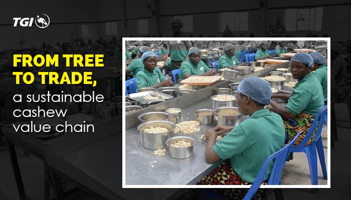 TheTGIGroup's tweet photo. @WACOTLimited @chipharma We also have #FludorBenin which is in Benin Republic, with 80% of its staff strength being women #TGIGroup https://t.co/dSmb8fbD7a