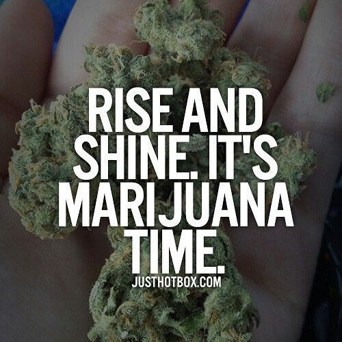 bakingat420's tweet photo. Happy #HumpDay! 
#RiseAndShine #WakeAndBake #Marijuana #Cannabis #Weed #Stoner #CannabisCommunity #HighHumor #High… https://t.co/BPPGDSHwz7 https://t.co/CilNHsHwog