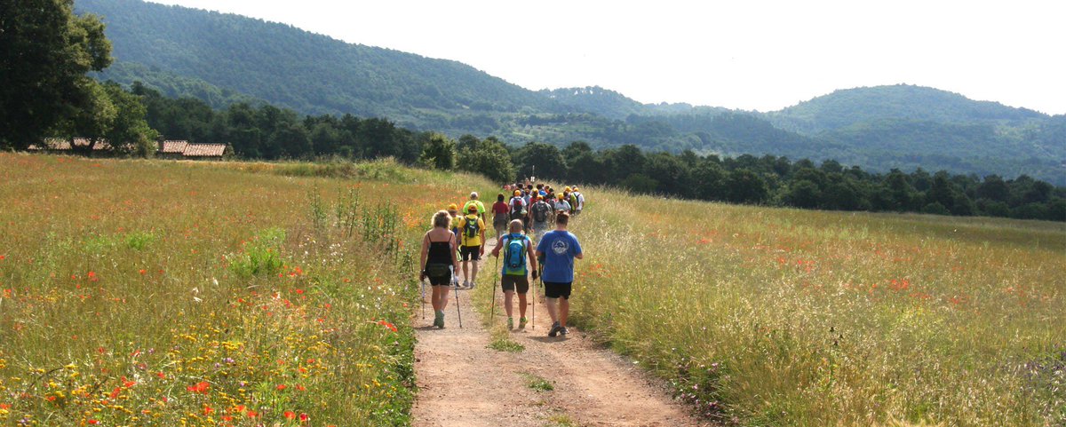 WORLD Francigena Ultramarathon
From #Siena to #Acquapendente
Walking along in Val D'Arbia and in Val D'Orcia
francigenaultramarathon.it/en/
