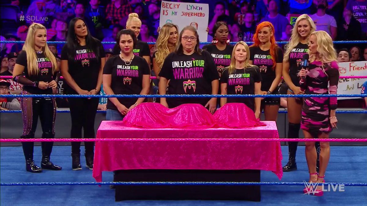 3rdGenCatLady's tweet photo. Heros. Survivors. Breaking Keyfabe. I hate doing these segments. 🙀 https://t.co/QKQYHlSCBW