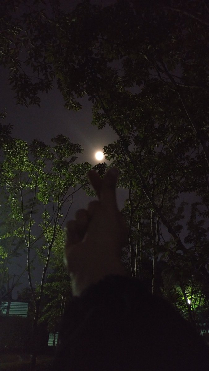 달빛아래서 소원빌기
여러분들 소원도 다 이루어지길 ㅎㅎ 🌕🌝🌕🌝🌕
달님~ 모든 사람들 행복하게 해주세요~~