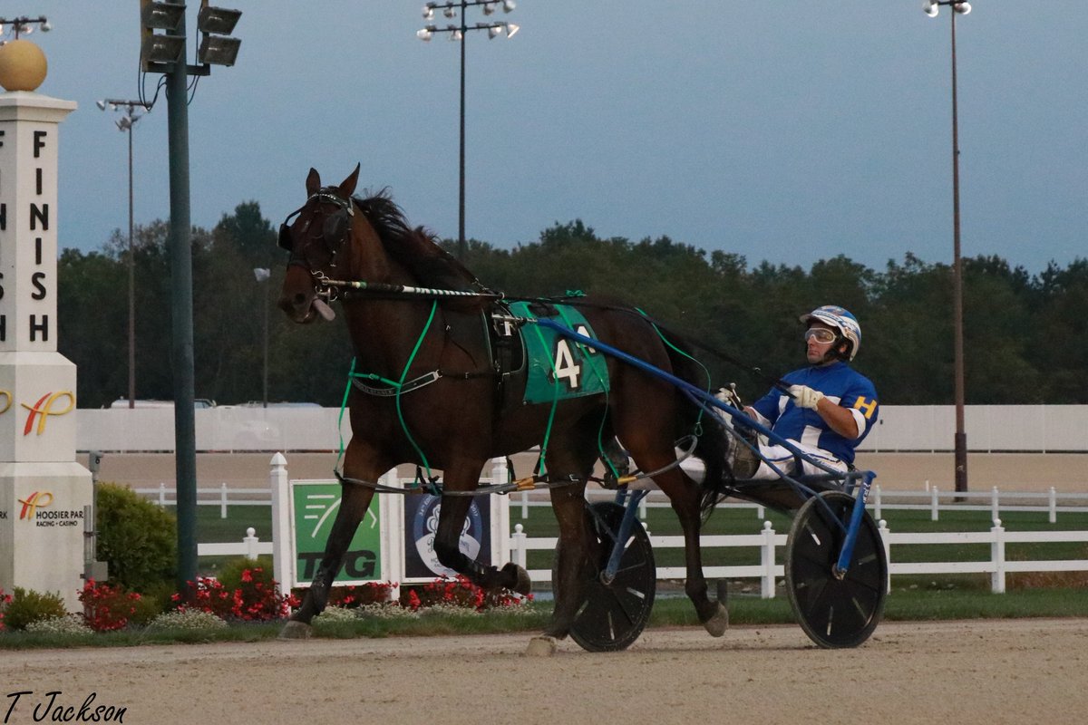 hoosiernations's tweet photo. GoodMorning @ArnoldStable @Chris_wponies @JoannKi32885615 @rebelsart @vnssa926 @dolenski_john @kimberlymoier @Healinwaters11 #ElusiveImage https://t.co/ul5o7avsjz