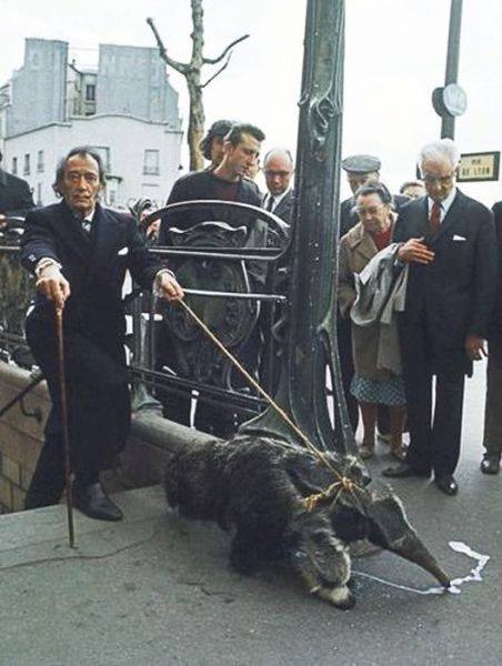 Per la #giornatamondialedeglianimali non può mancare la celebre foto di Dalì a spasso con il suo formichiere.
Parigi, 1969
