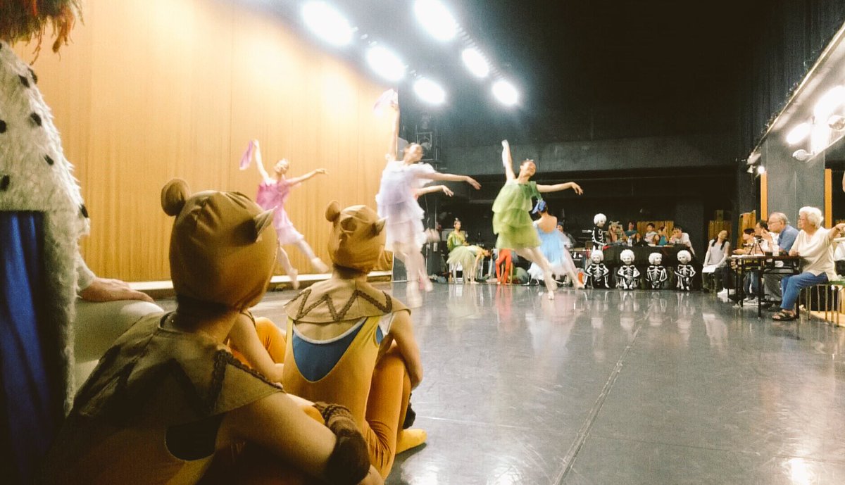 東京シティ バレエ団 En Twitter 10 08 動物たちのカーニバル 本番まであと数日に迫った オーケストラwithバレエ では 可愛く奇妙な動物たちが次々と登場します 当団instagramでも人気の ライオン席 からの眺め 奥に座っているのは ホネ 木琴 シロフォン